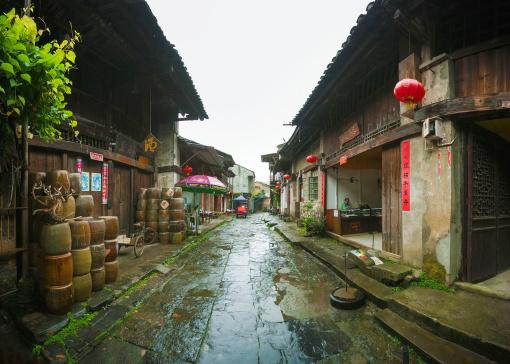大雨林逃生
